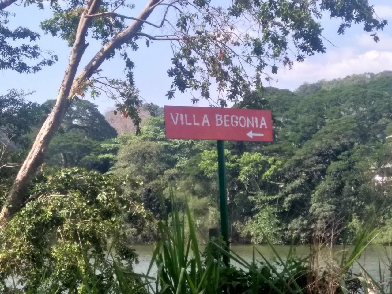 Villa Begonia Katugastota Dış mekan fotoğraf